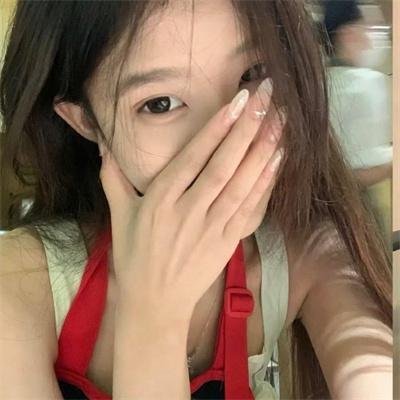 哈莱姆的郁金香